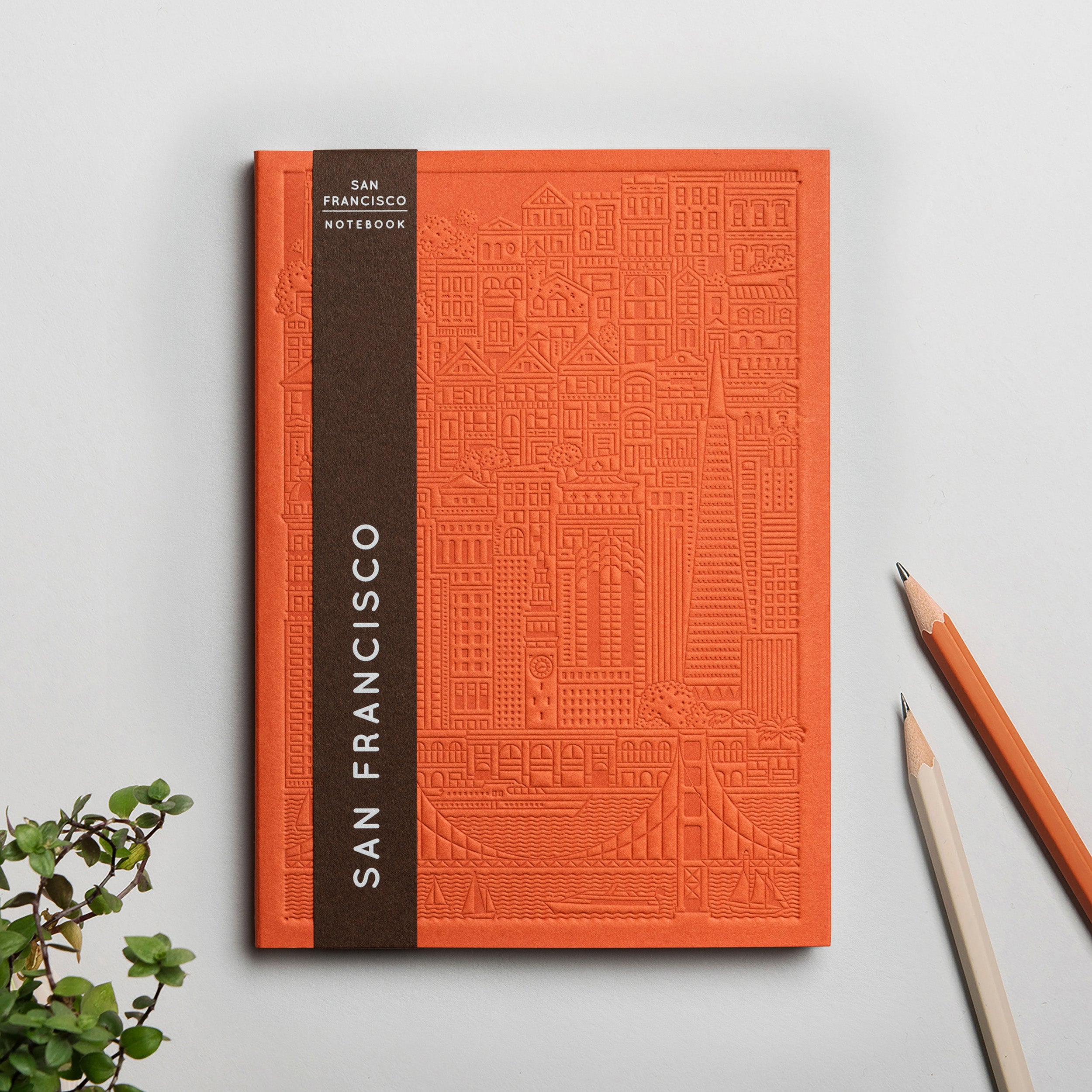 The San Francisco Notebook